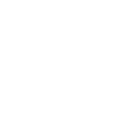 DMS Metals